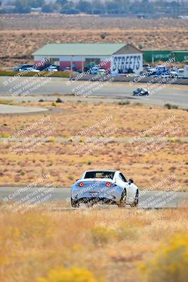 media/Nov-16-2024-Extreme Speed (Sat) [[6587d07cc4]]/Gold Group/Session 1 (Turn 2)/